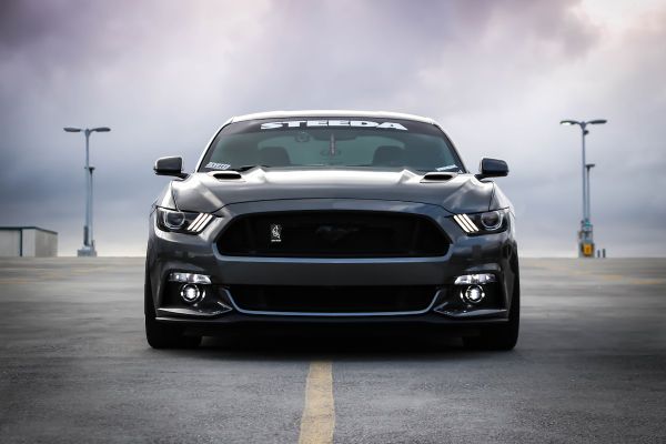 Luxury car detail